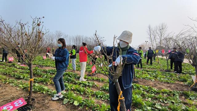 绿化技能大比拼！漯河第三届园林绿化技能大赛开赛