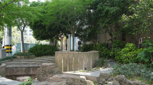一起来探班！武宁南路沿线绿化恢复工程亮点→