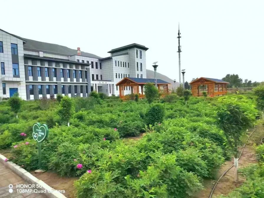 古浪：厚植生态底色 绿染苍松大地