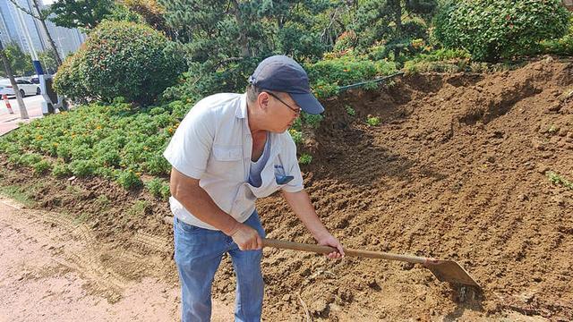 市城管局园林中心强化高温天气绿化养护