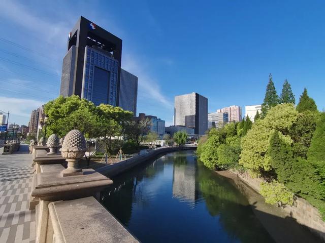 绿化与城市发展紧密相融！“绿色幸福感”，已成为普陀人民生活的一部分