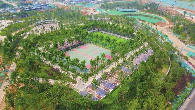 以绿为笔，描绘济南市中区“公园城区”灵动底色