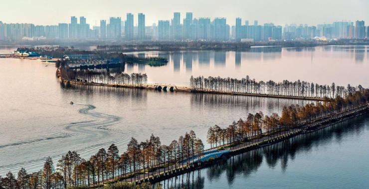 《武汉市 2023 年绿化工作方案》出炉 ! 武汉将新改建各类公园 100 座