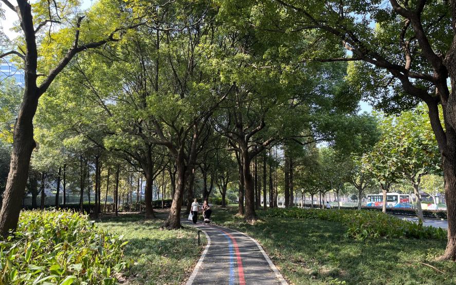 市绿化部门完成2023年新建绿道巡查工作