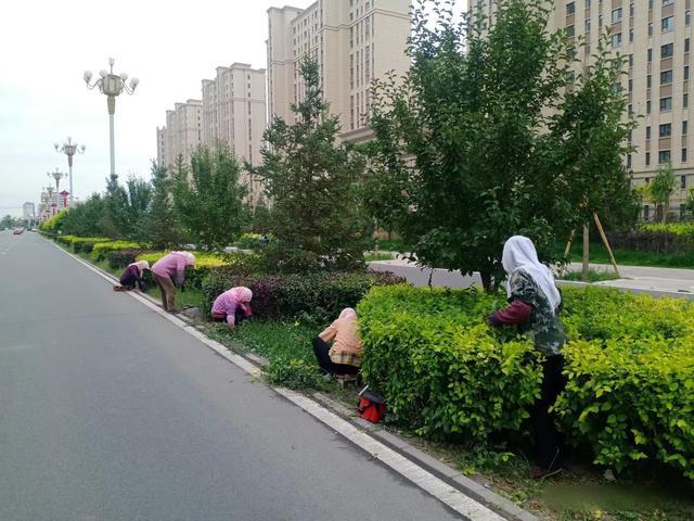 做好夏日修剪工作 保障城区绿化养护品质