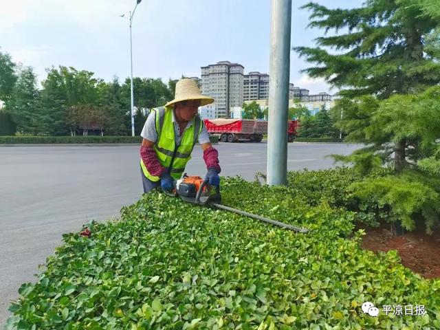 满眼绿意满城园——我市全力提升园林绿化品质夯实城市生态基底 满眼绿意满城园——我市全力提升园林绿化品质夯实城市生态基底