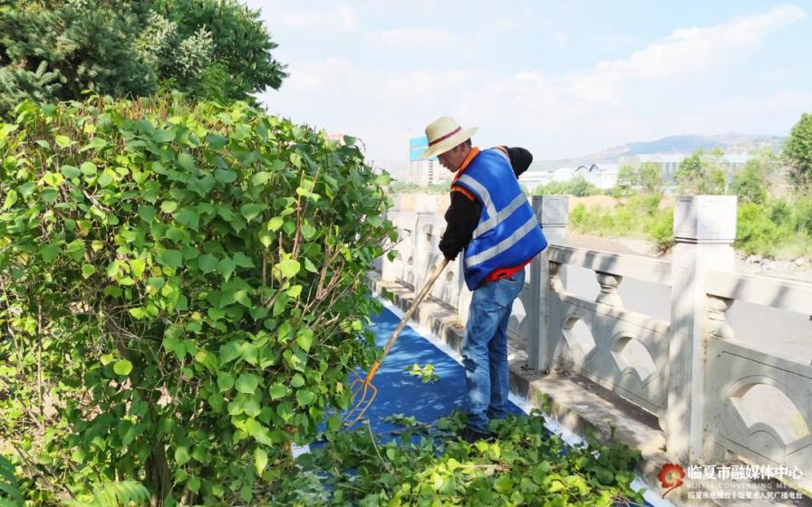 临夏市：不负夏日好时光 园林绿化养护忙