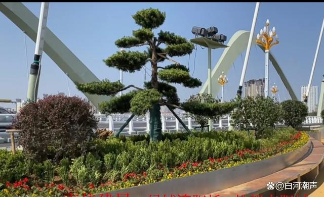 南阳淯阳桥重建：立体绿化呈美景！