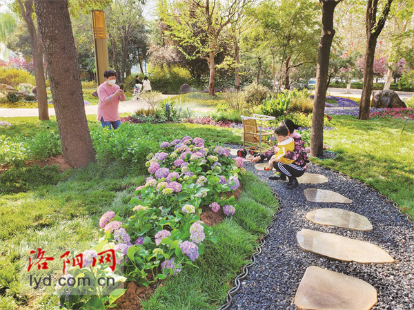  洛阳19个精品绿化景观让市民游客尽享绿色之美