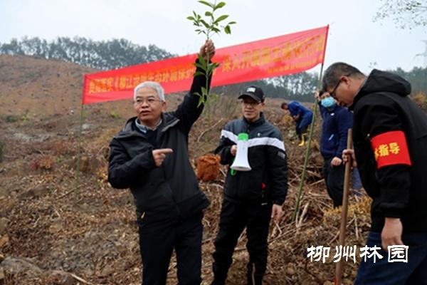 开展2023年新春珍贵树种义务植树活动