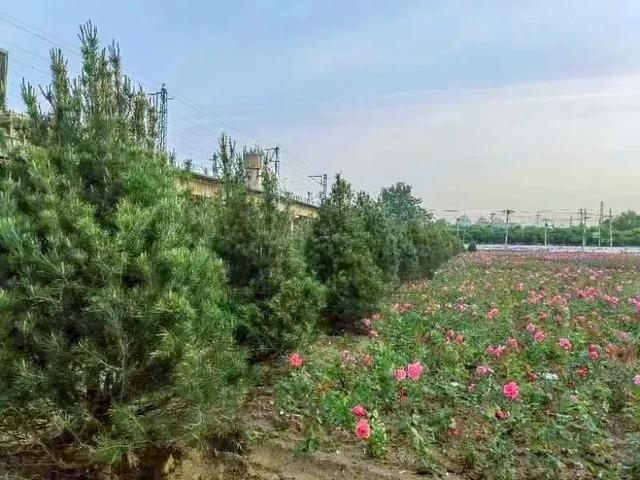 着力打通生态廊道 “通山连水”绘就美丽丰台