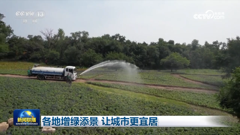 各地增绿添景  让城市更宜居