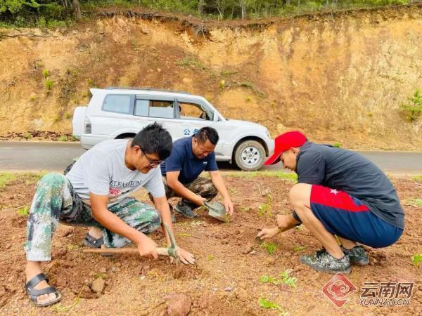 景东：绿化美化进行时，扮靓乡村“新颜值”