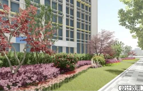 临空园区将新建4个“口袋公园”，还将打造“红枫街