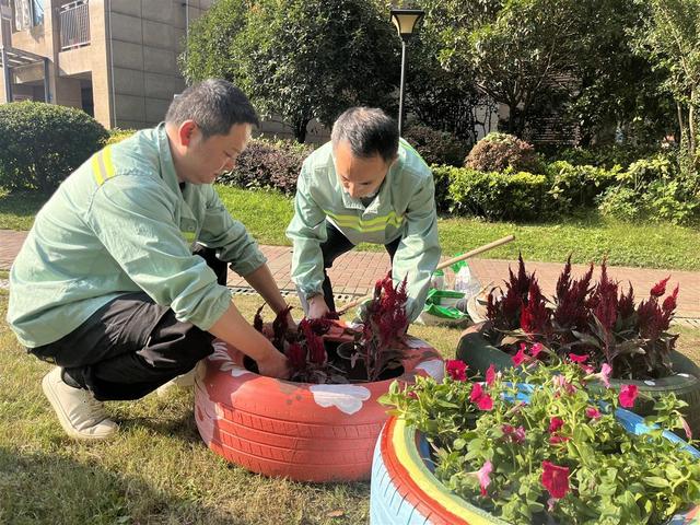 武汉市青山区园林绿化队携手社区共建“共享花园”