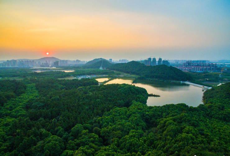 《武汉市 2023 年绿化工作方案》出炉 ! 武汉将新改建各类公园 100 座