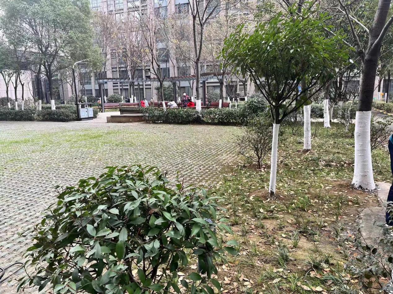 肥西柏堰科技园：绿化带穿“防护衣” 草地“伤痕”渐愈合