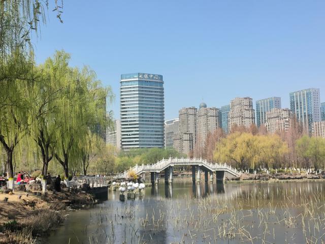临沂市五洲湖公园绿化景观再提升，这个春天美成这样