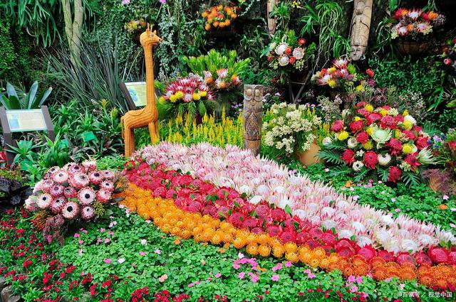 「会展管家」中国昆明国际花卉展