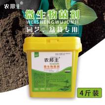 俗话说“养花用小盆，根壮花满盆”，10种花，用小盆，更好养