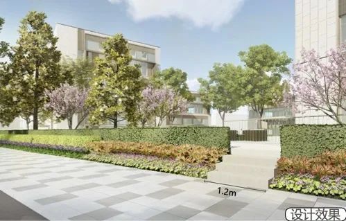 临空园区将新建4个“口袋公园”，还将打造“红枫街
