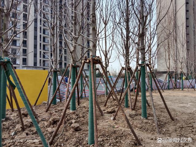 地产项目景观绿化关键点