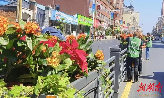 沅陵县城市园林绿化服务中心：以“翠绿花香”迎宾，献礼旅游发展大会