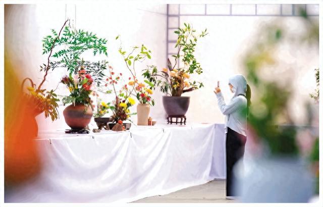 盛世花开 美丽桂林——第二届南方花卉苗木交易会暨第四届广西花卉苗木交易会见闻
