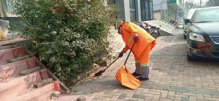 清理整治绿化带 守护绿色风景线