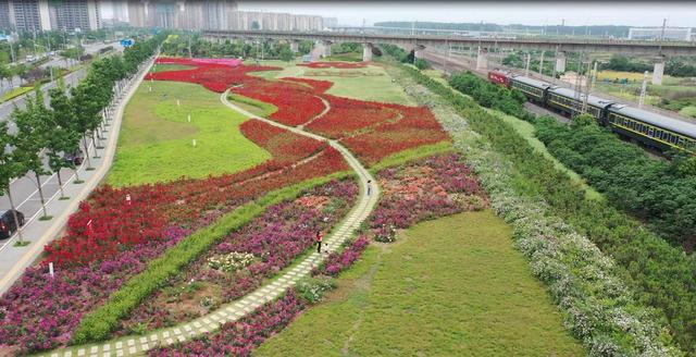 漯河顺利通过省级国家园林城市复查