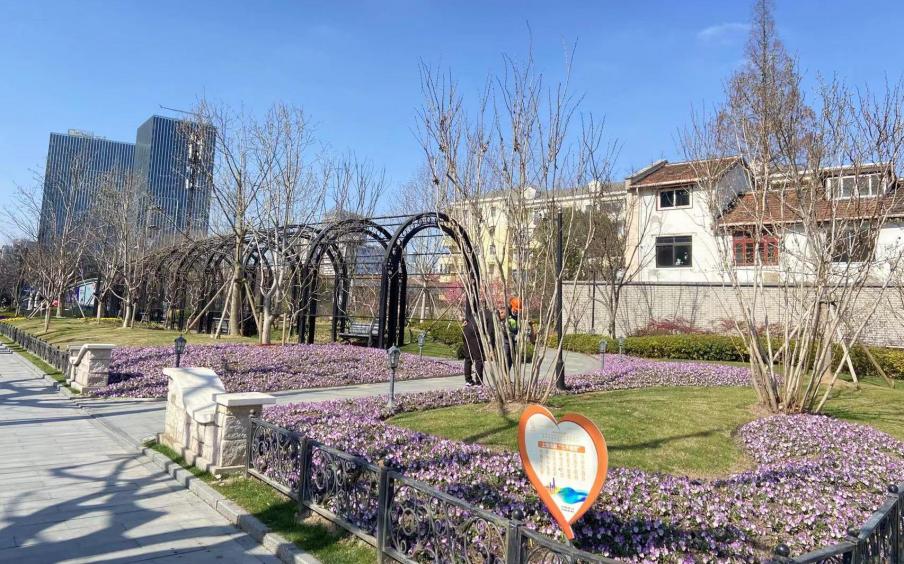市绿化部门开展新一轮百条花道巡查考评工作
