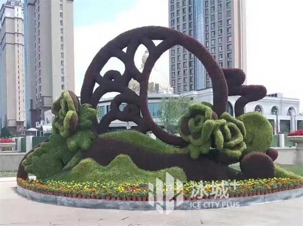 提质添彩 增绿精管｜道里区聚力打造城区园林环境