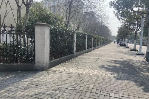 平湖市街头多处绿化容貌升级