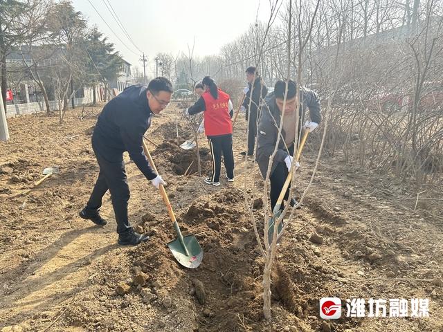 绿化美化扮靓乡村“颜值”
