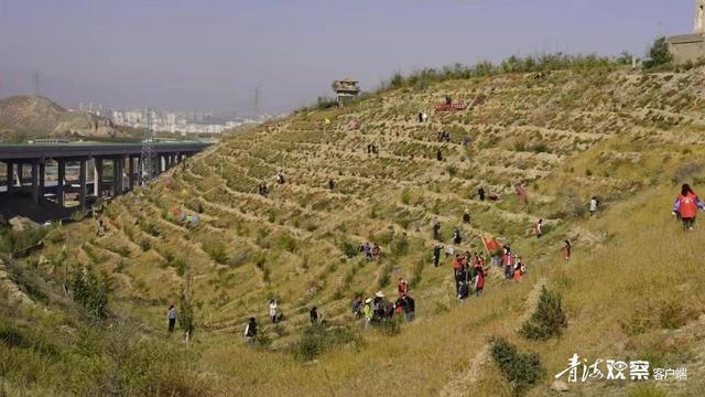 海东平安区：举行2022年国土绿化暨秋季义务植树活动