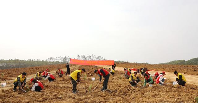 东门林场开展义务植树共建活动