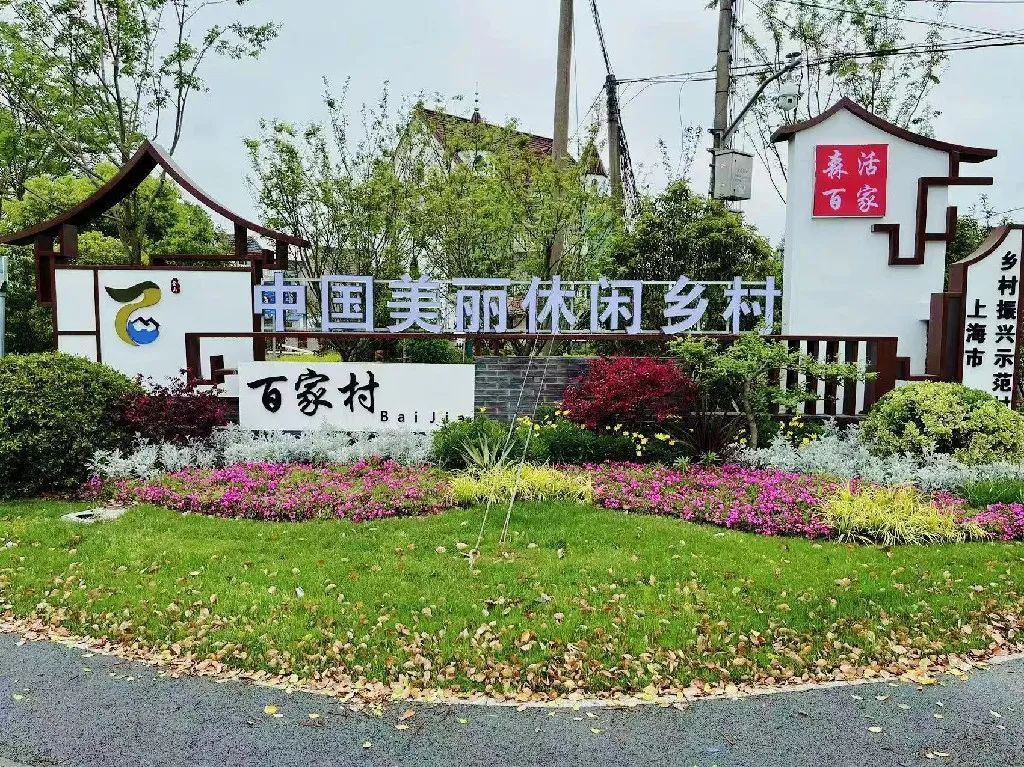 转角遇到“口袋公园”，金山这个村又添2000平方米绿化空间