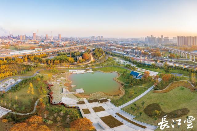 《武汉市2023年绿化工作方案》出炉！武汉将新改建各类公园100座