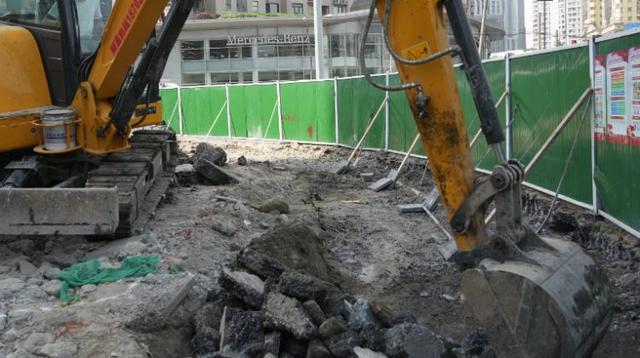 一起来探班！武宁南路沿线绿化恢复工程亮点→