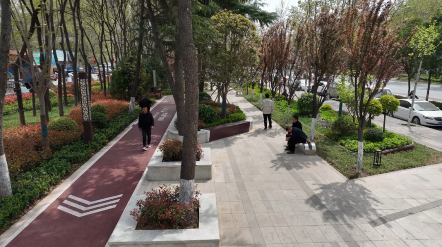莲湖区：因时因地植绿护绿 为群众生活增色添彩