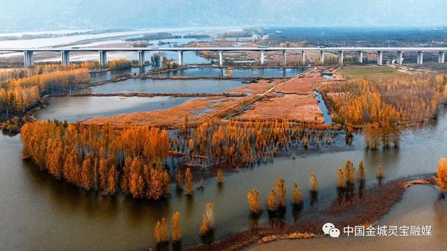 灵宝：黄河湿地风景如画