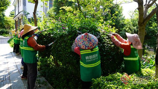 楚雄永仁：持续开展污水再生利用“战高温、保绿化”行动