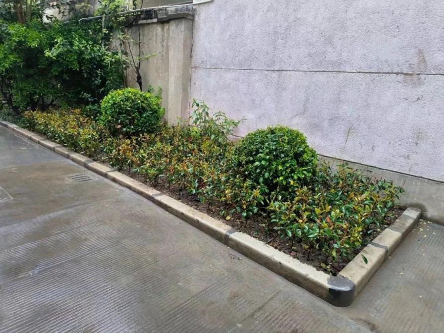 武夷路这里的绿化微景观改造完成