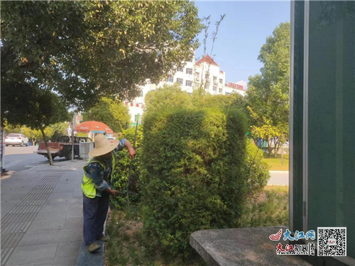 武宁县园林服务中心扎实推进秋季绿化修剪工作（组图