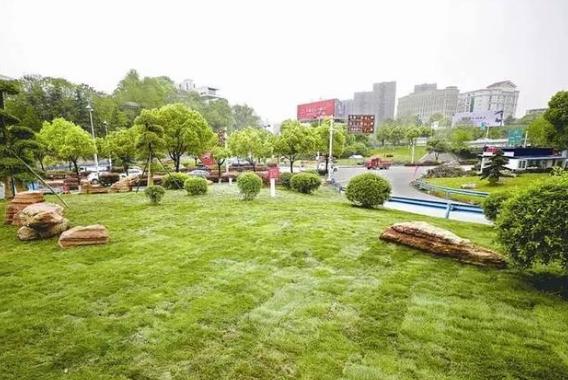 园区绿化都有哪些事项？园区绿化养护内容和措施盘点