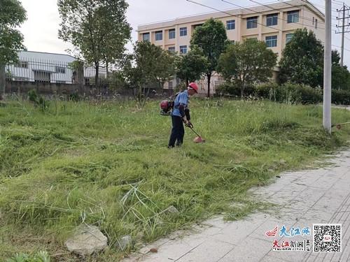 乐安县城管局多措并举做好夏季绿化养护管理工作（图）
