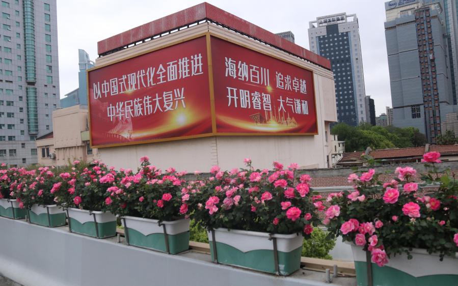 市绿化管理部门开展高架沿口绿化景观保障巡查调研