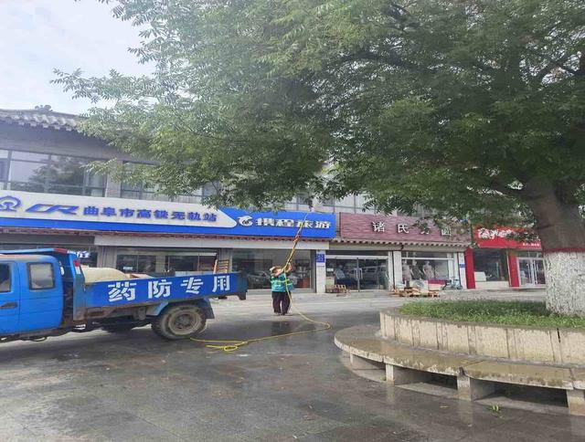 加强精细管理 提升园林绿化景观品质和绿化“颜值”
