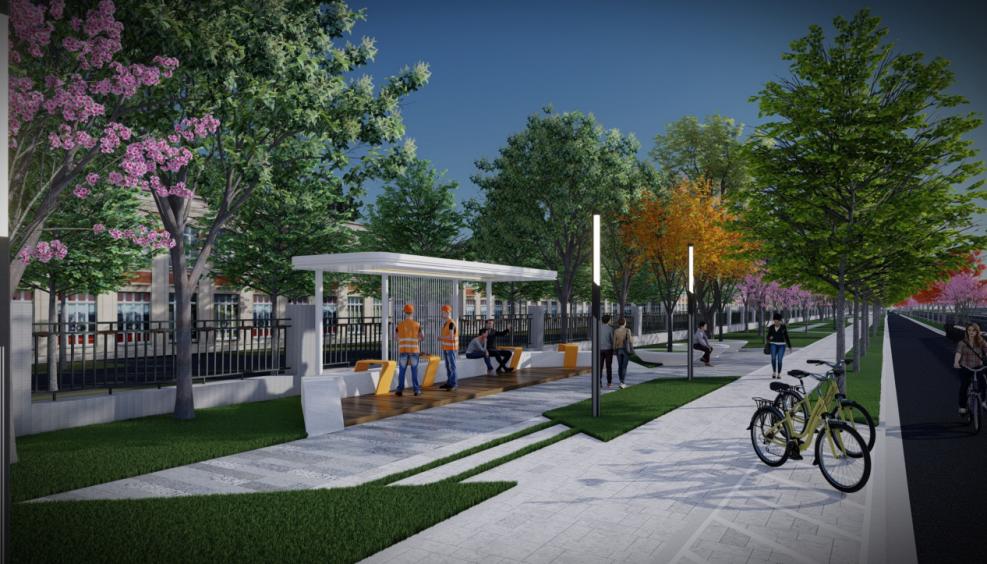 环城东路（东方美谷大道~大叶公路）景观提升工程施工公告