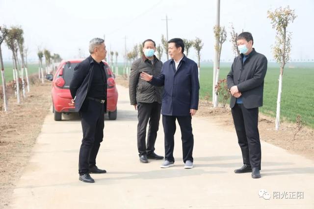 王东征调研精品林网建设工作 王东征调研精品林网建设工作